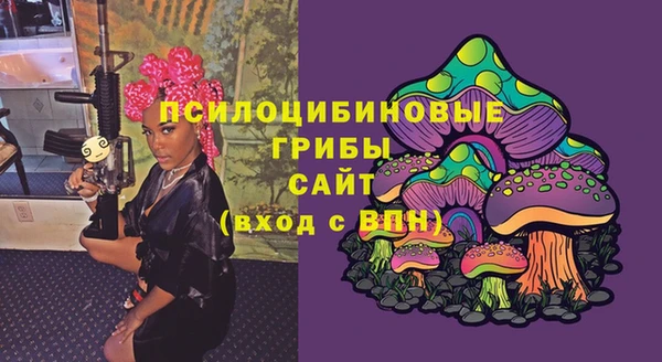 дживик Балахна