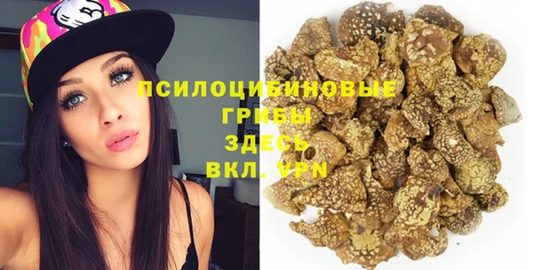 дживик Балахна