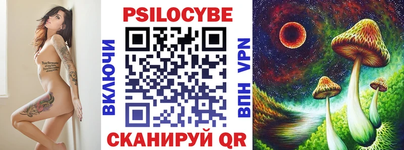 Галлюциногенные грибы Psilocybe  сколько стоит  даркнет какой сайт  Судак 